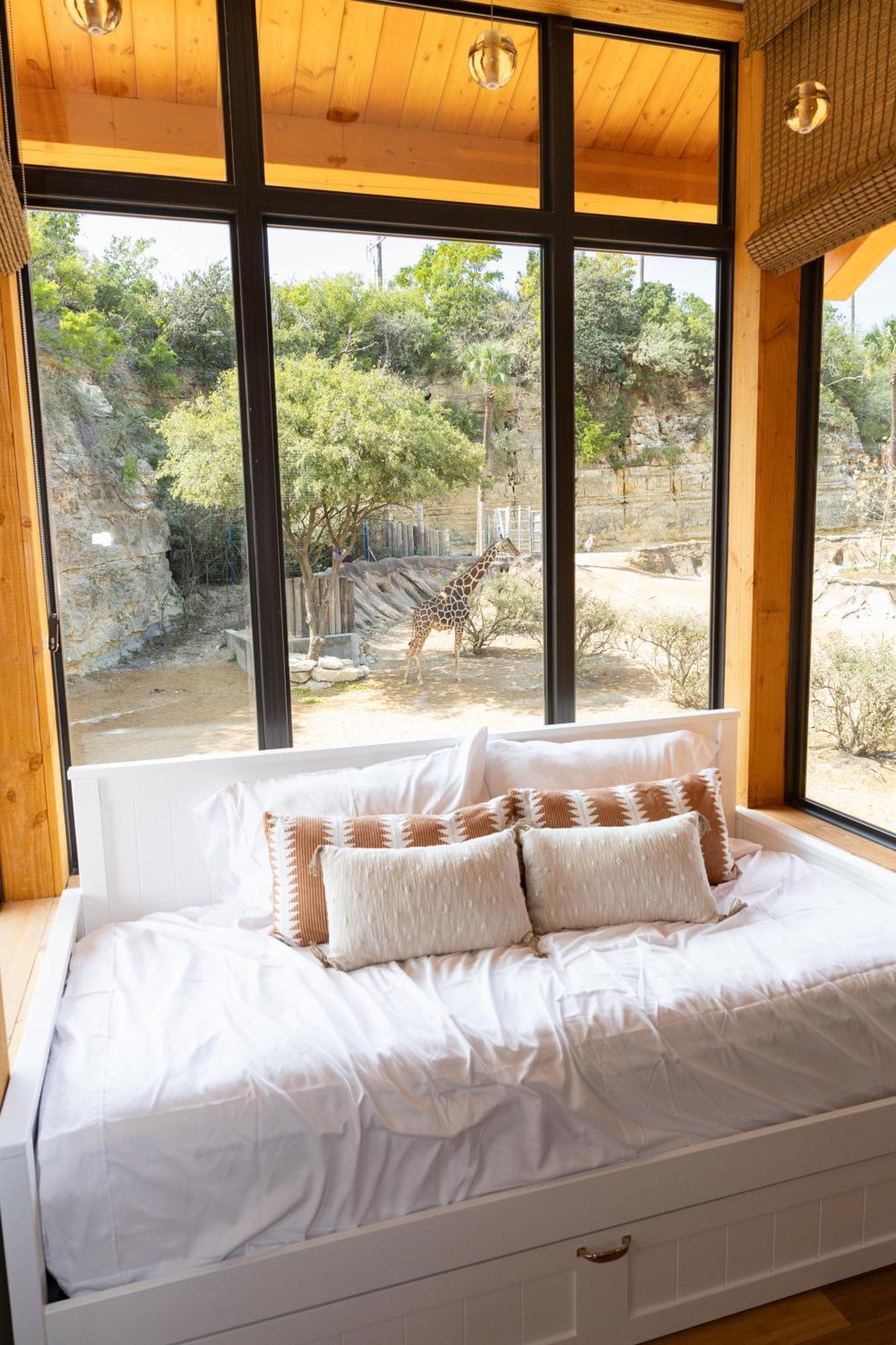 San Antonio Zoo - Spekboom Giraffe Lodge Εξωτερικό φωτογραφία